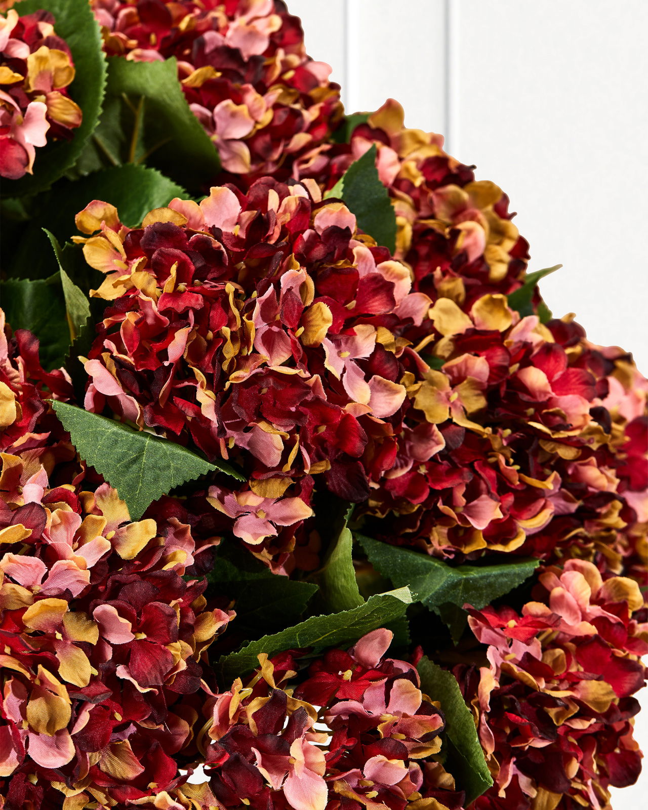 Hydrangea cut flower (red)