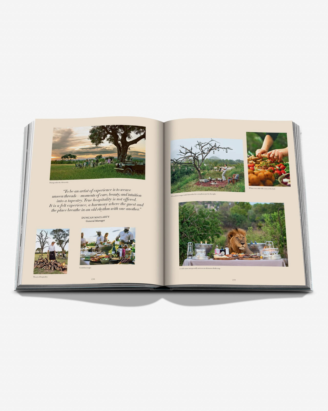 Londolozi, The Safari that Changed Everything