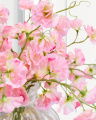 Sweet Pea Cut Flower Pink