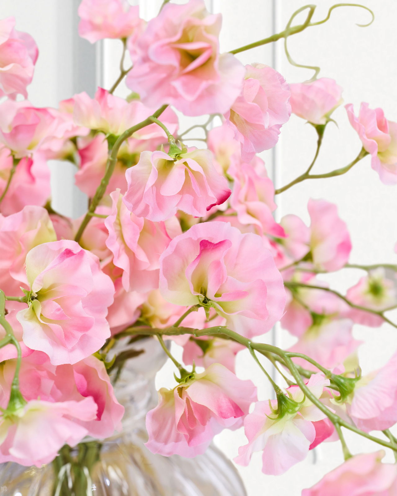 Sweet Pea Cut Flower Pink