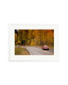 356 Porsche White / XL