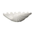 Shell Bowl