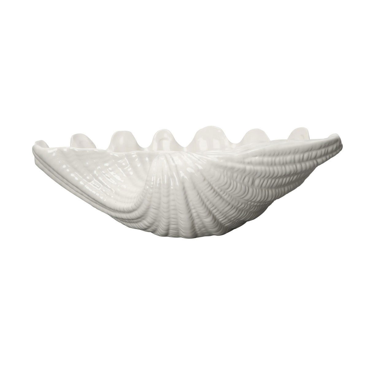 Shell Bowl