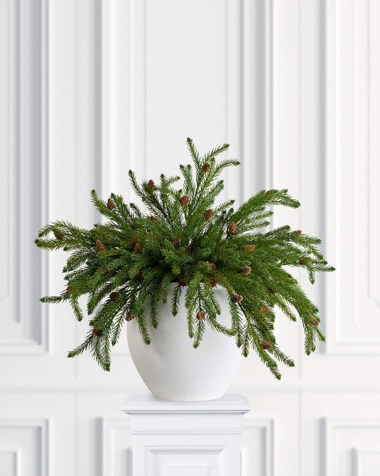August Spruce Twig Cones