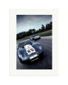 Ford Cobra Print Only / XL