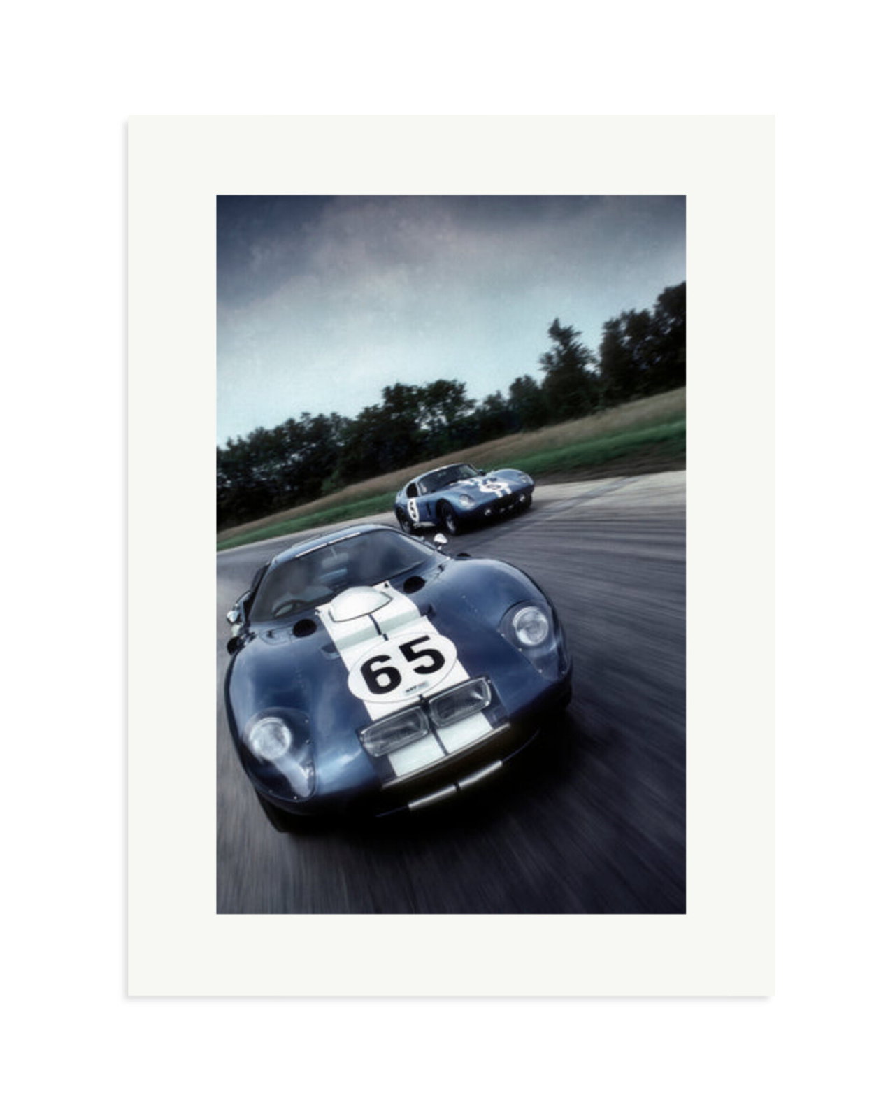 Ford Cobra Print Only / XL
