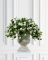 Hanging geranium potted plant white