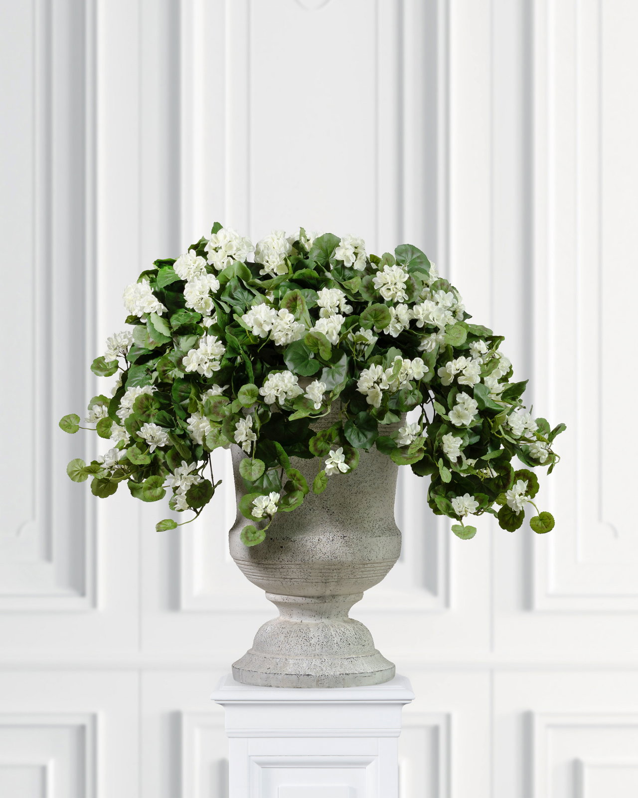 Hanging geranium potted plant white