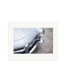 Alfa Romeo Giulia SS Print Only / Medium