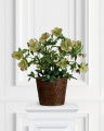 Christmas Rose Artificial Plant Pink