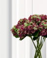 Hydrangea Cut Flower Burgundy/Green