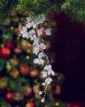 Winter Pendant Christmas Decoration