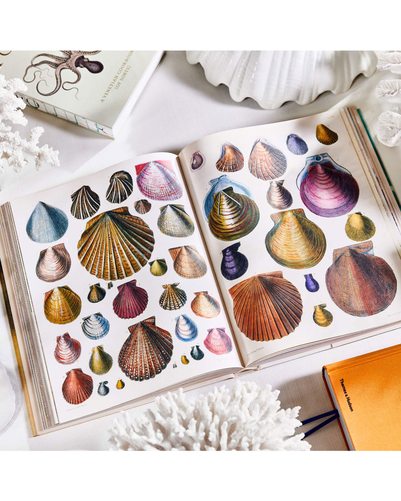 John Derian Picture Book