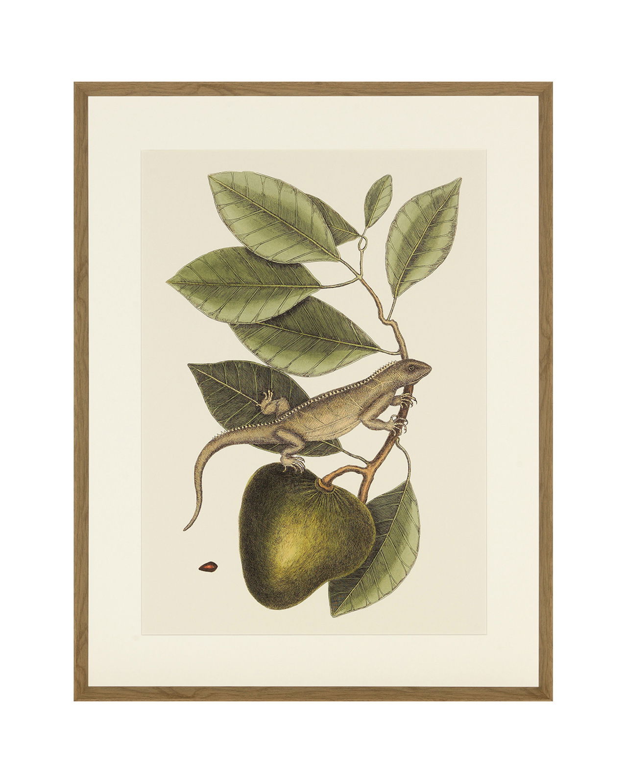 Lizard And Fruit Branch