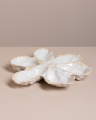 Fulham oyster platter