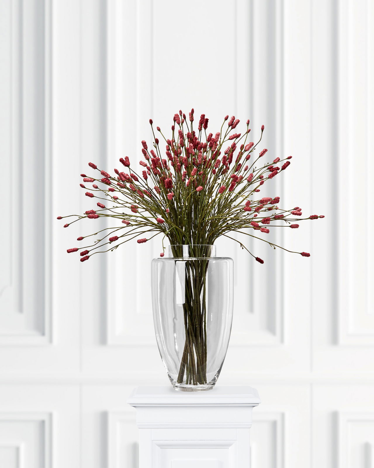 Pimpinell sSchnittblume bordeaux