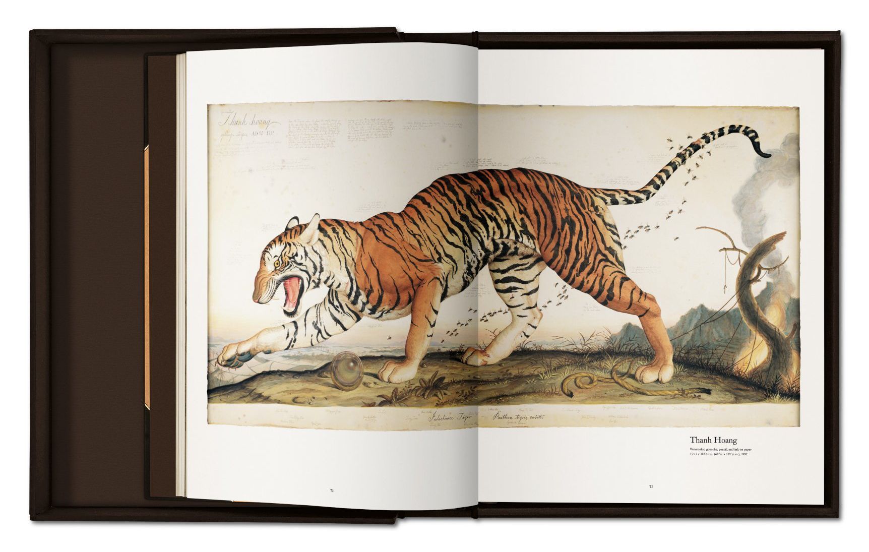 Walton Ford. Pancha Tantra