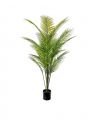 Parlour Palm Tree 140 cm