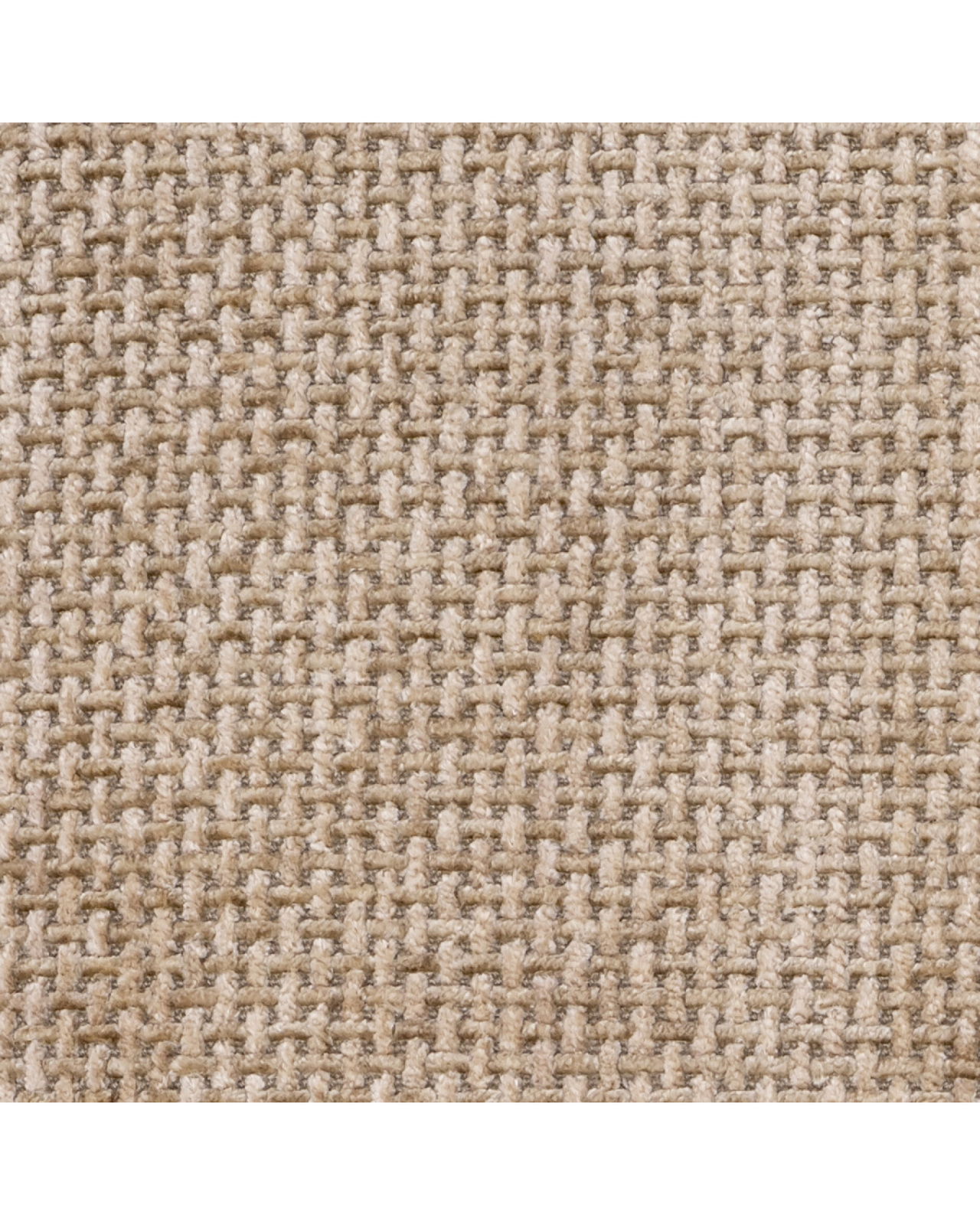 Björn soffa rund lyssa sand