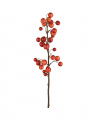 Apple Branch Cut Flower Red