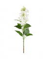 Lilac Branch White