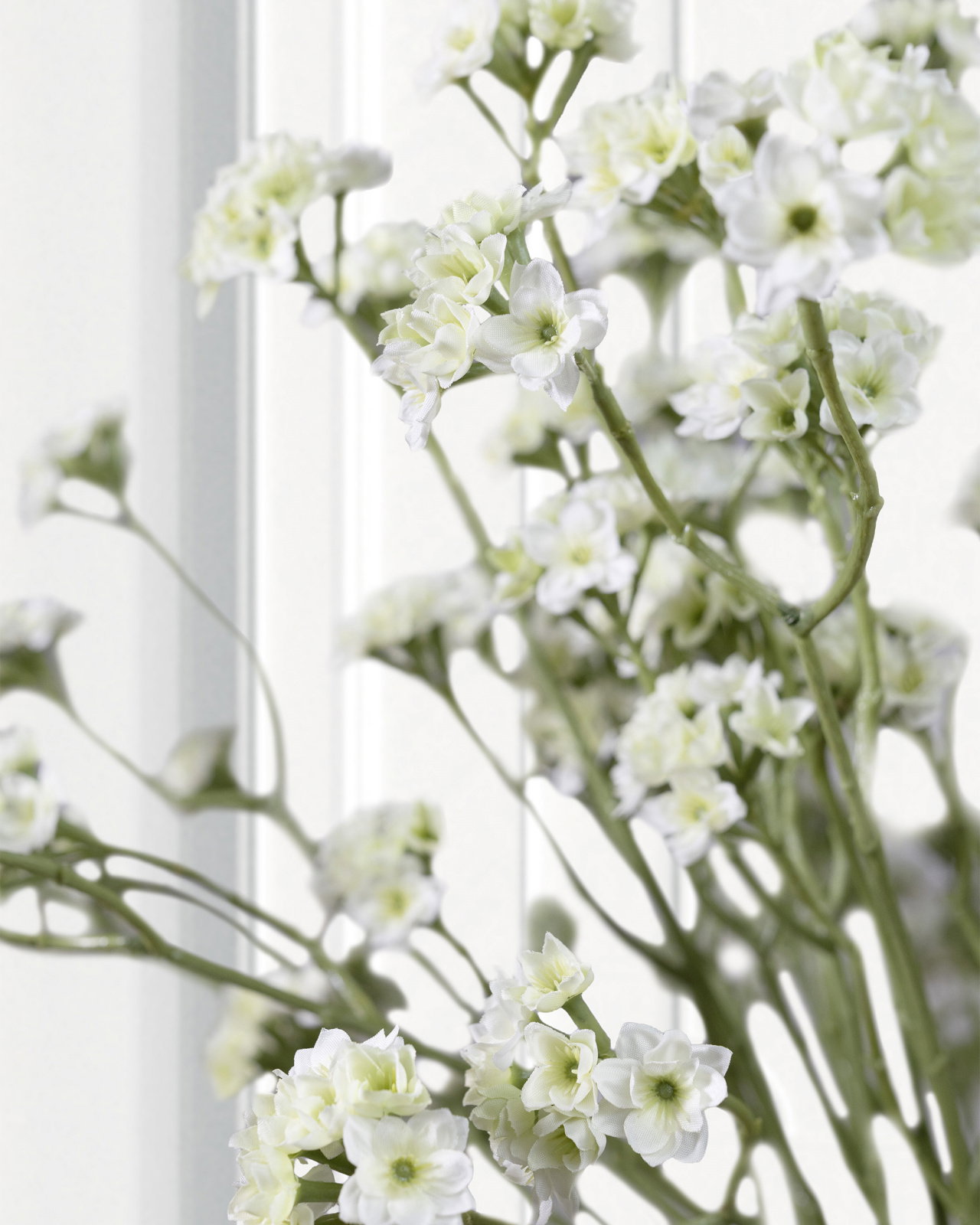 Blomkvist snittblomma vit