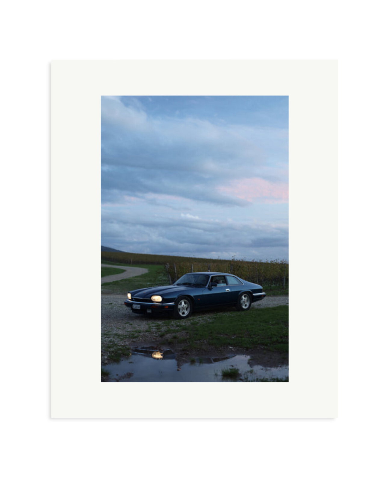 Jaguar XJS Print Only / Medium