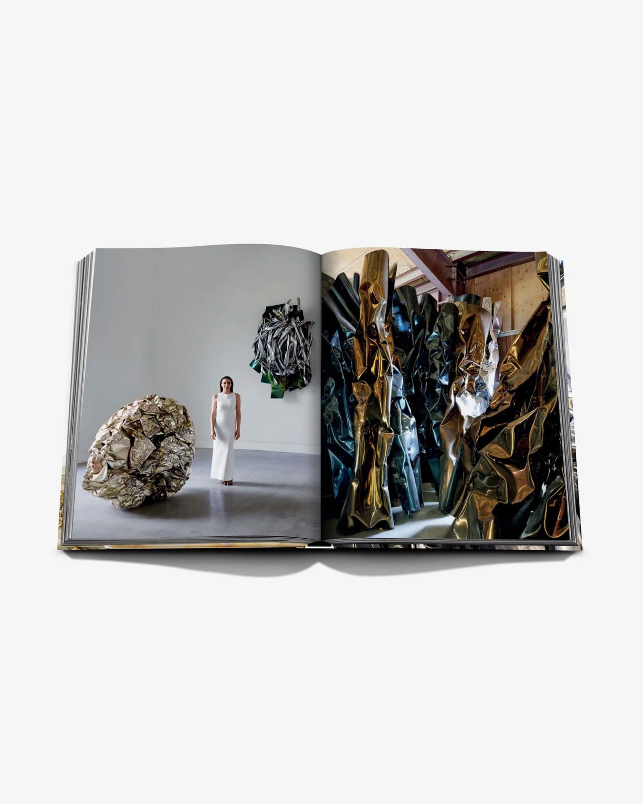 Living with Chamberlain, Art in Residence (Special Edition)