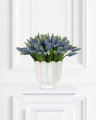 Grape Hyacinth Cut Flower Blue