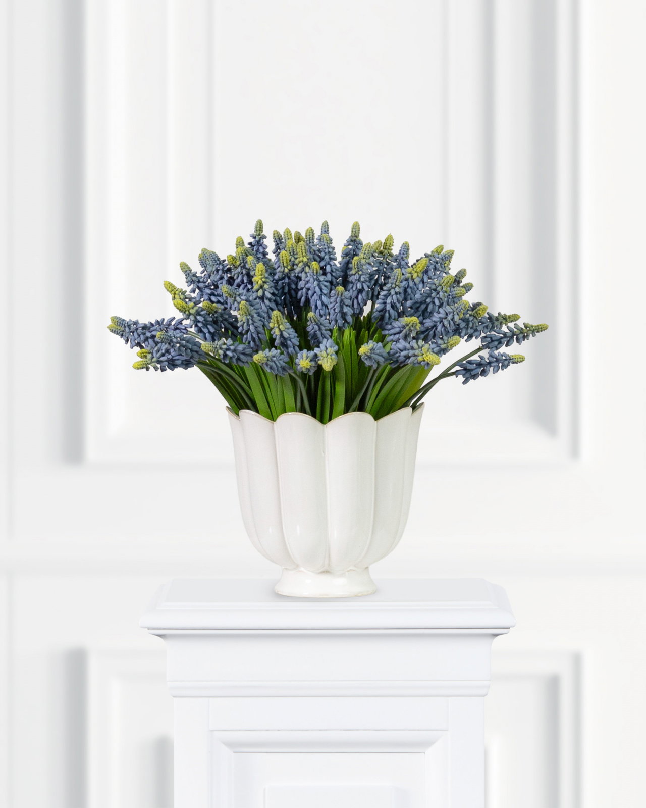 Grape Hyacinth Cut Flower Blue