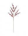 Ashby Berry Twig Red