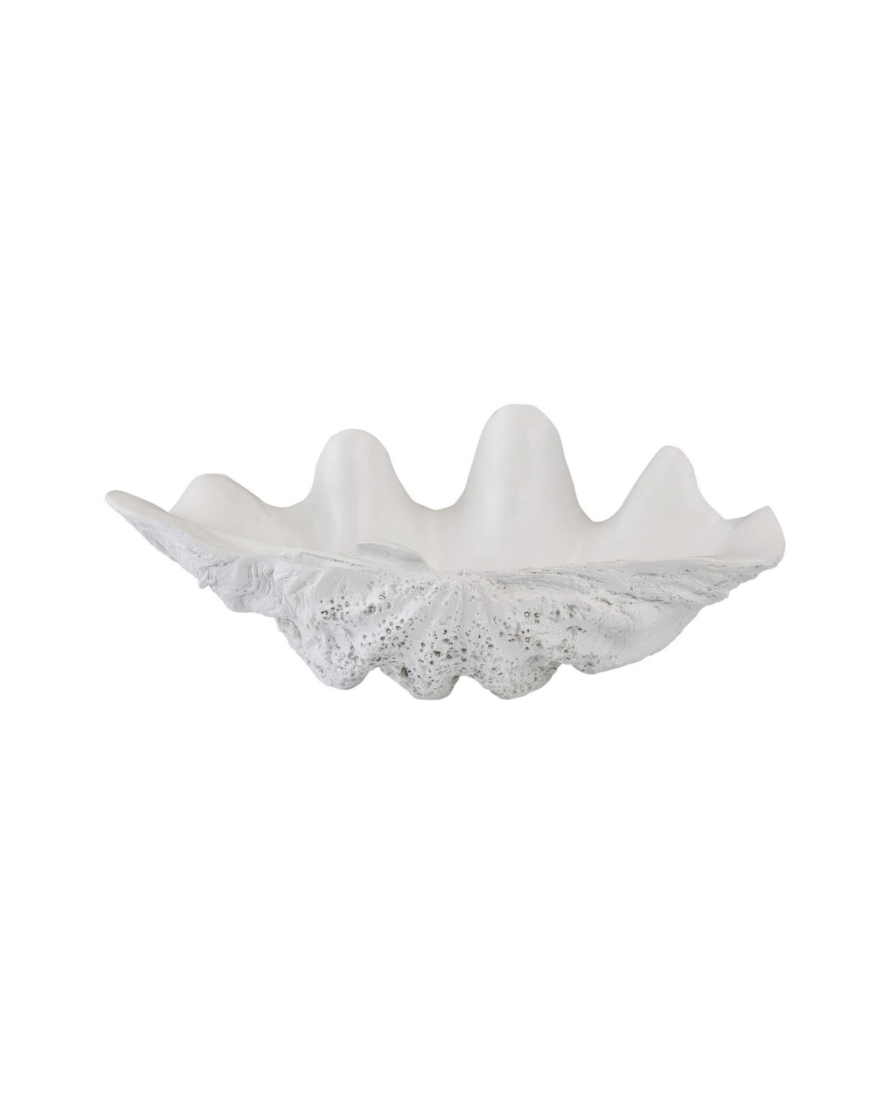 Antran Shell Dish White