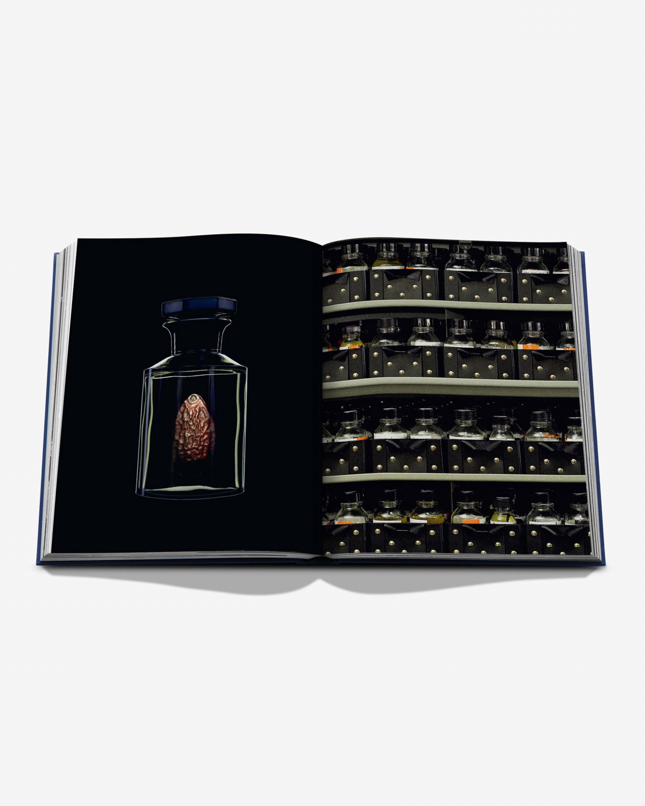 Robertet: From Seed to Scent