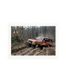 Camel Trophy Training Print Only / XXL