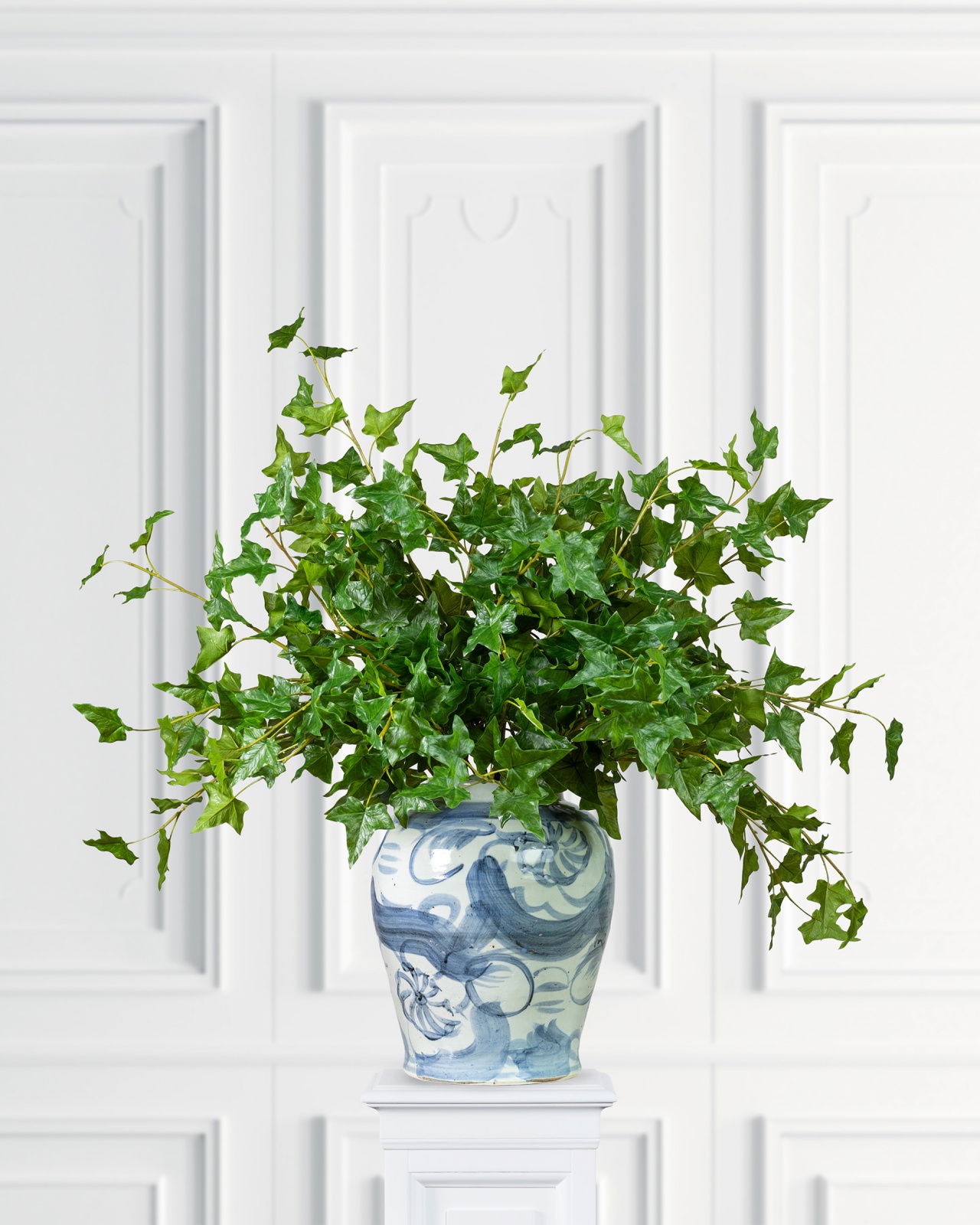 Murgröna snittblomma