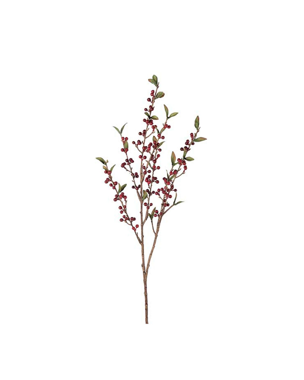 Berry branch cut flower red