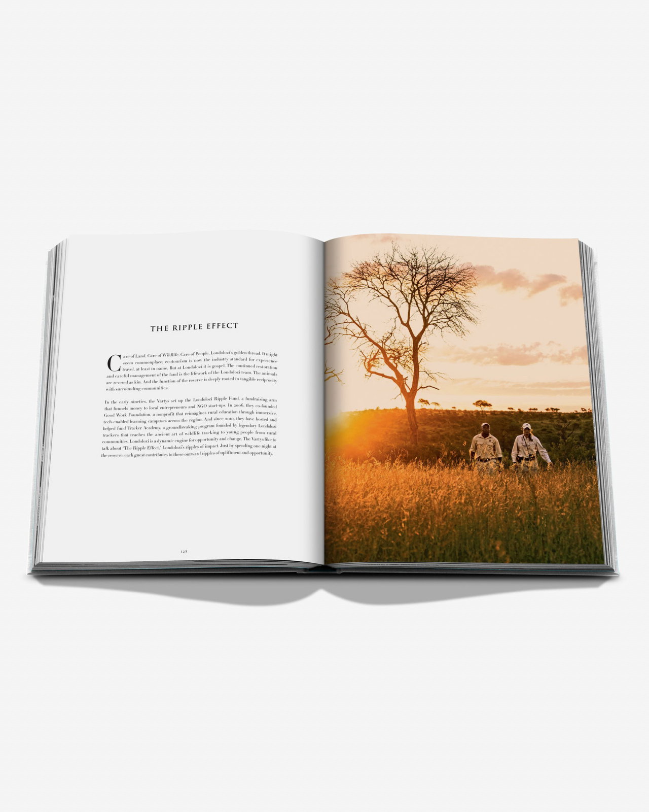 Londolozi, The Safari that Changed Everything