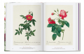 Redouté. Book of Flowers 40 Series