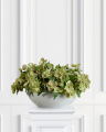Christmas Rose Artificial Plant Pink
