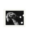 Robert Plant 1977 Print Only / Large