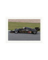 1977 Lotus 78 Print Only / XXL