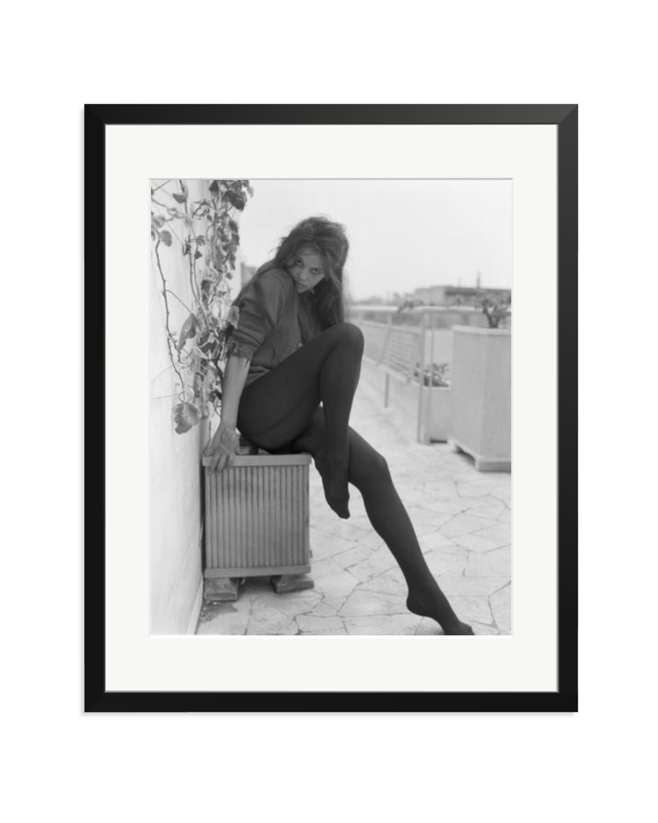 Cardinale Posing in Rome Black / XL