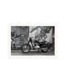 1963 Triumph Trophy Print Only / XXL