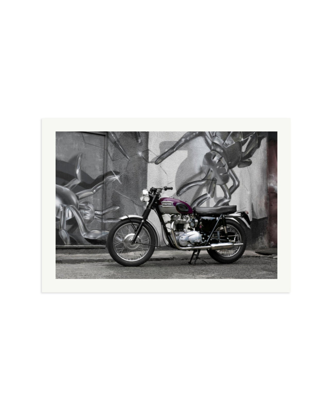 1963 Triumph Trophy Print Only / XXL
