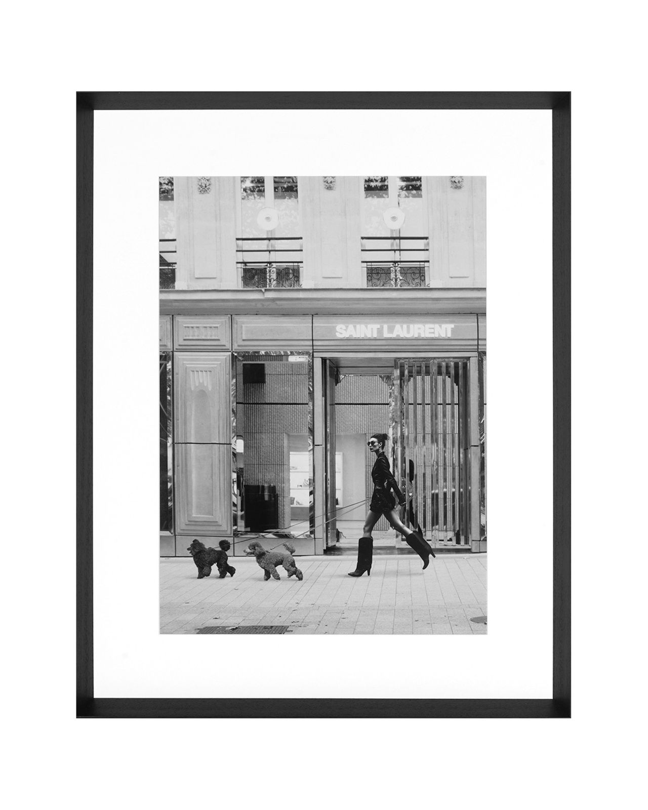 Who let the dogs out?