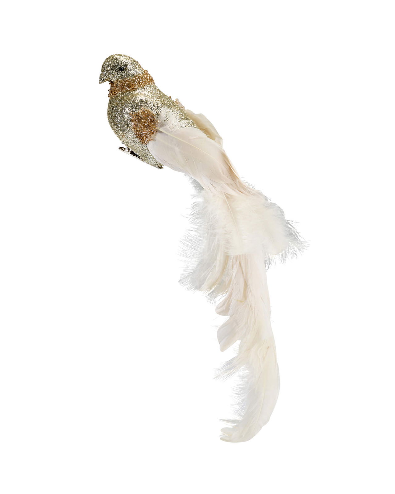 Quentin-lintujoulukoriste, kulta