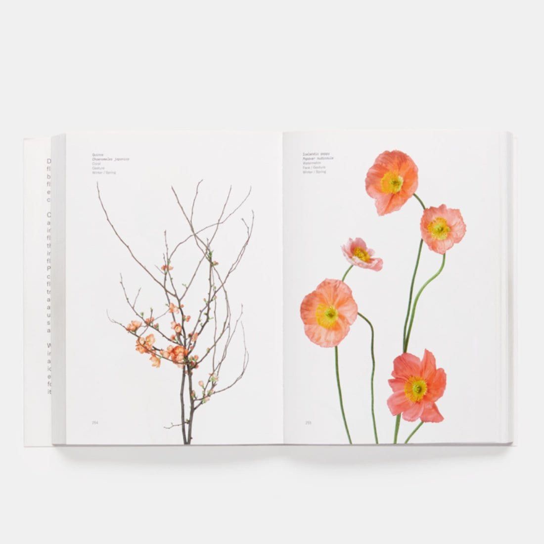 Flower Colour Guide