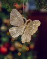Scarlett Butterfly Christmas Ornament Champagne