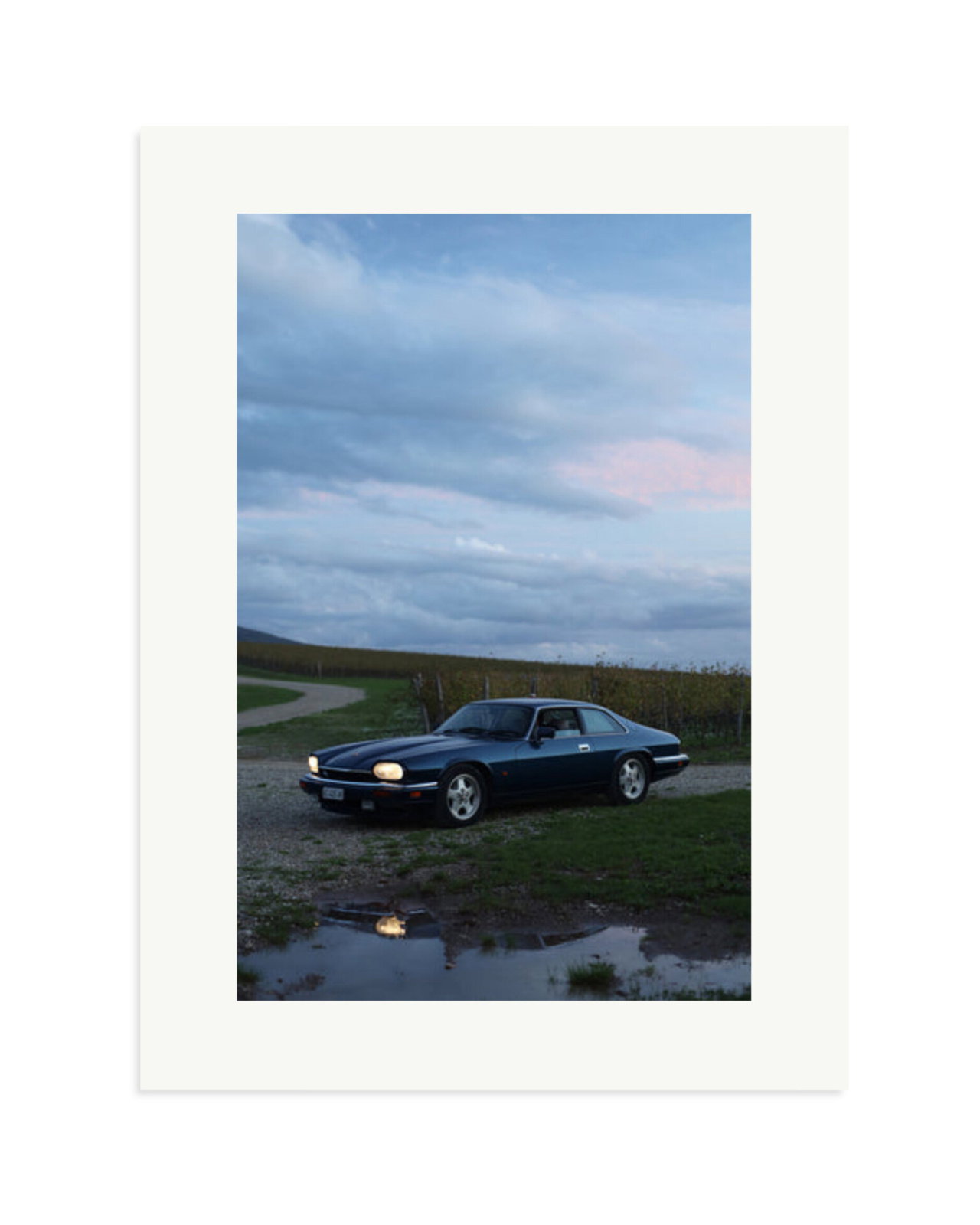 Jaguar XJS Print Only / XL
