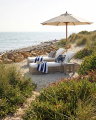 Los Cabos sun lounger desert